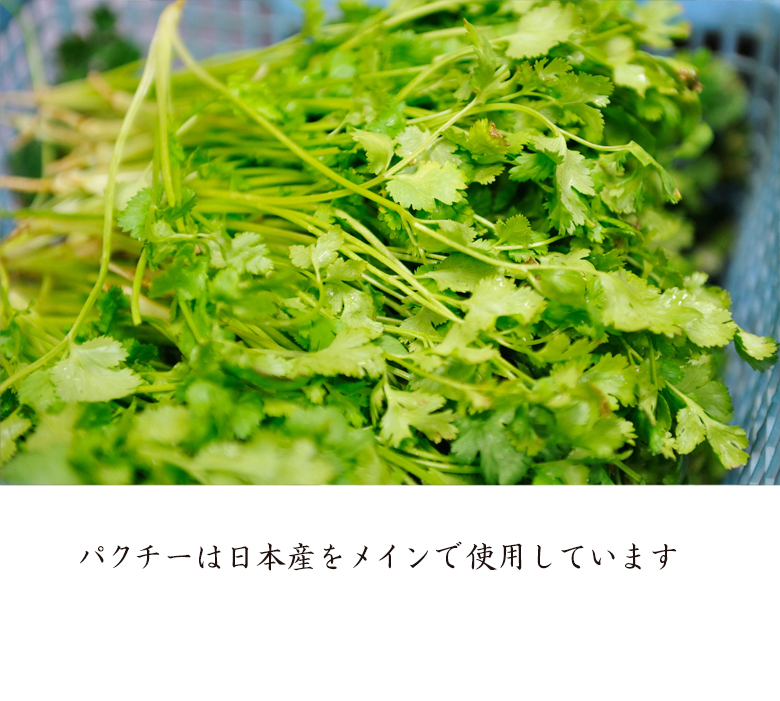パクチーは日本産をメインで使用しています